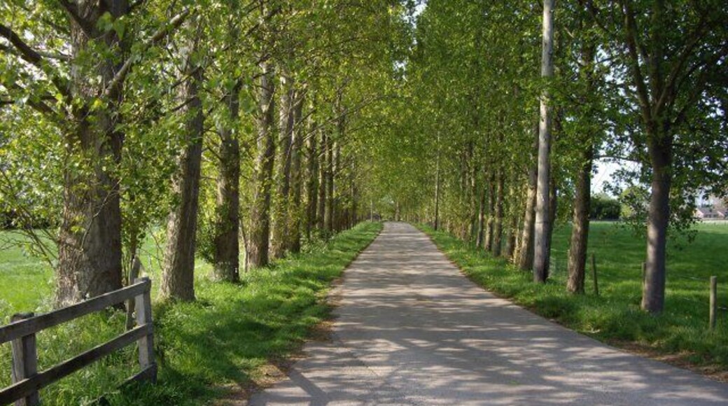 Lane by Cockshades Farm This lane is at the end of a footpath between Wynbunbury and Shavington, it leads onto Stock Lane