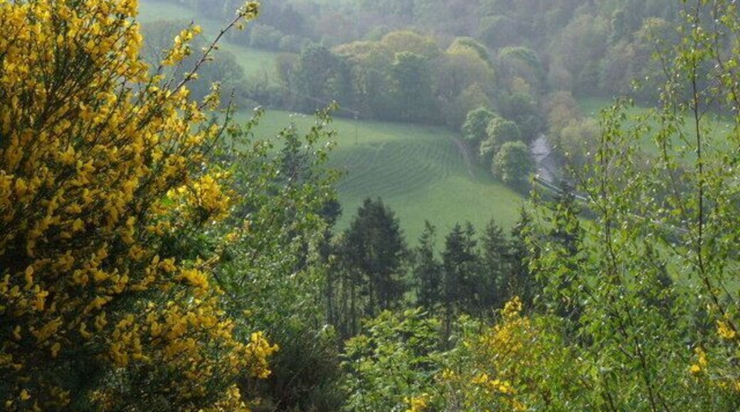 A hill in the valley