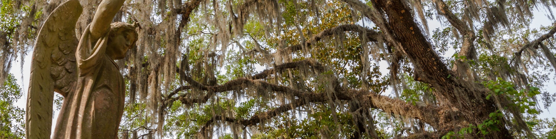 Statue of an Angel Under a Moss Laden Live Oak Tree , Boneventure Cemetery, Thunderbolt, Georgia, USA