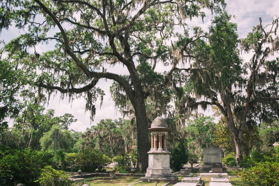 A cemetery with large trees, moss-covered branches, and a central monument.