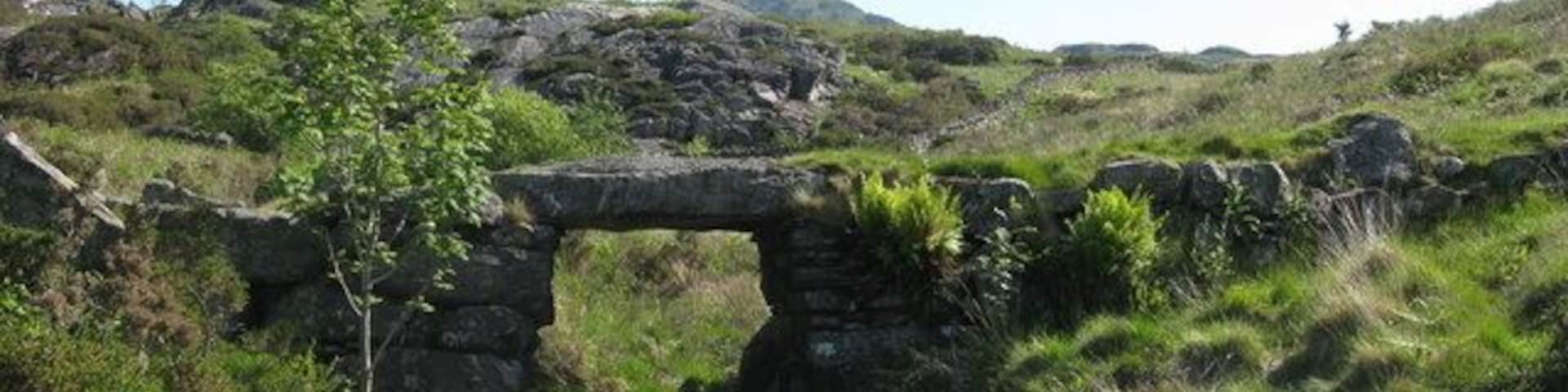 Drovers Road Bridge This fine old bridge takes the drovers road over Afon Dylif