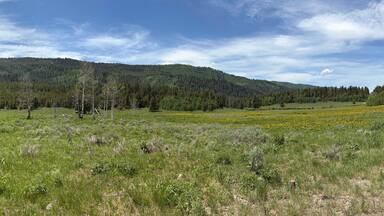 Panorama of Caribou National Forest in Idaho