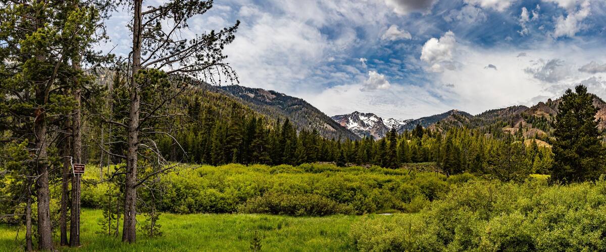 Sawtooth National Forest