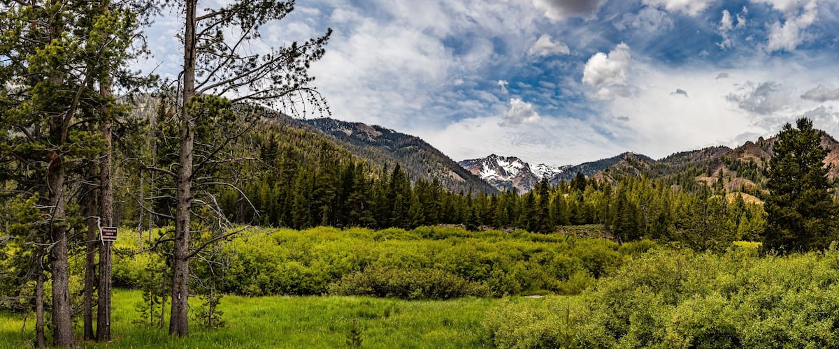 A mountainous landscape with dense forests and a clear sky.