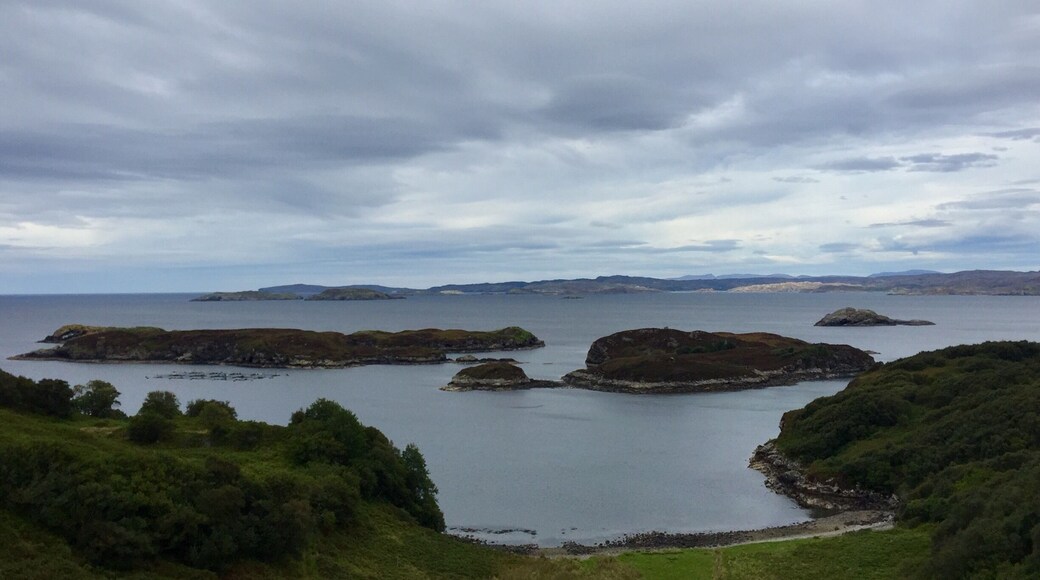 Amazing views along these winding roads! ❤️