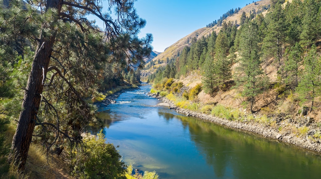 Tranquil river winding through a mountain valley. Pine trees line the banks. Peaceful autumn scene. Payette River, Horseshoe Bend, Idaho, USA.