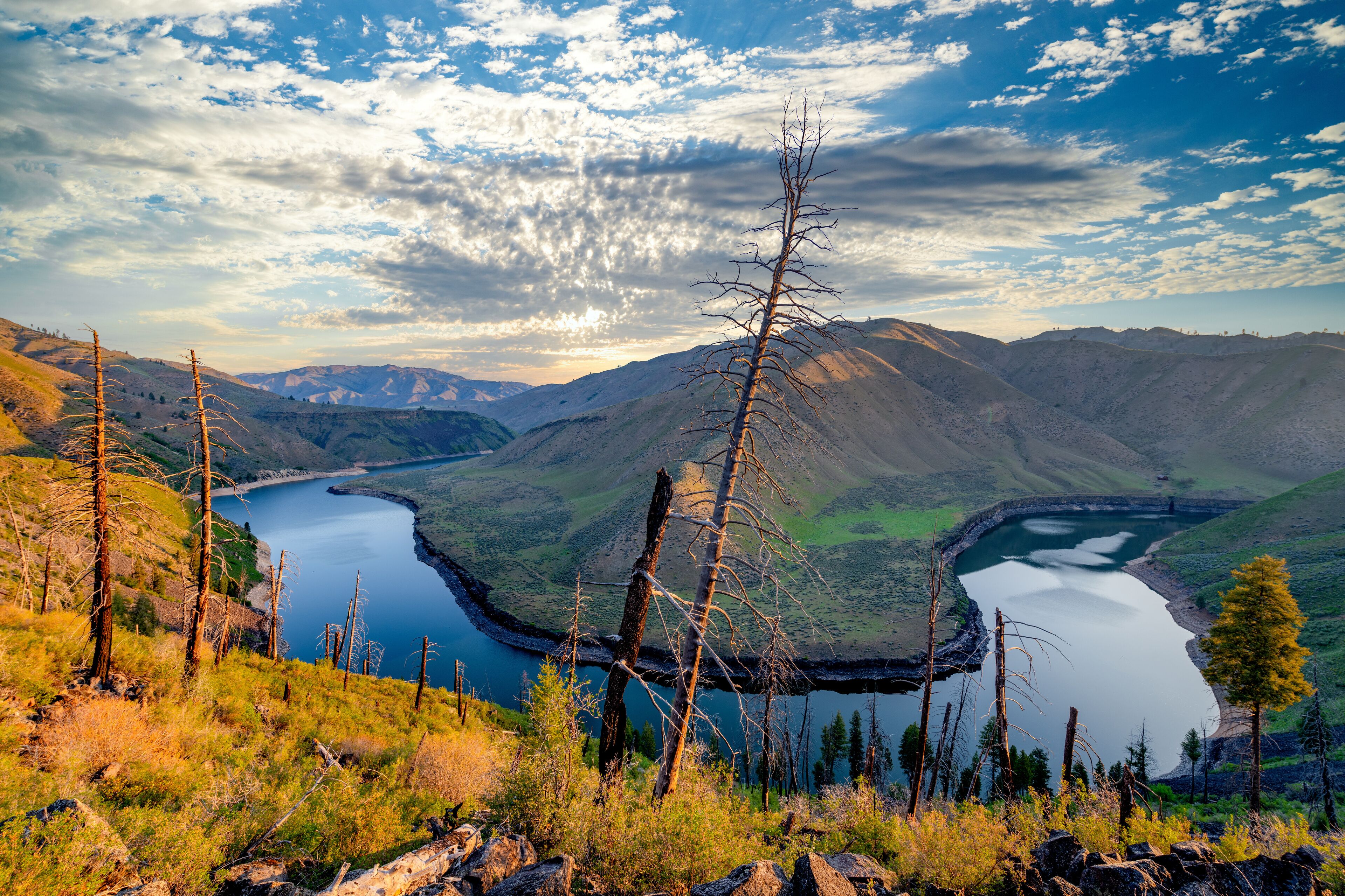 Horseshoe bend in the Boise River at sunrise with a tree