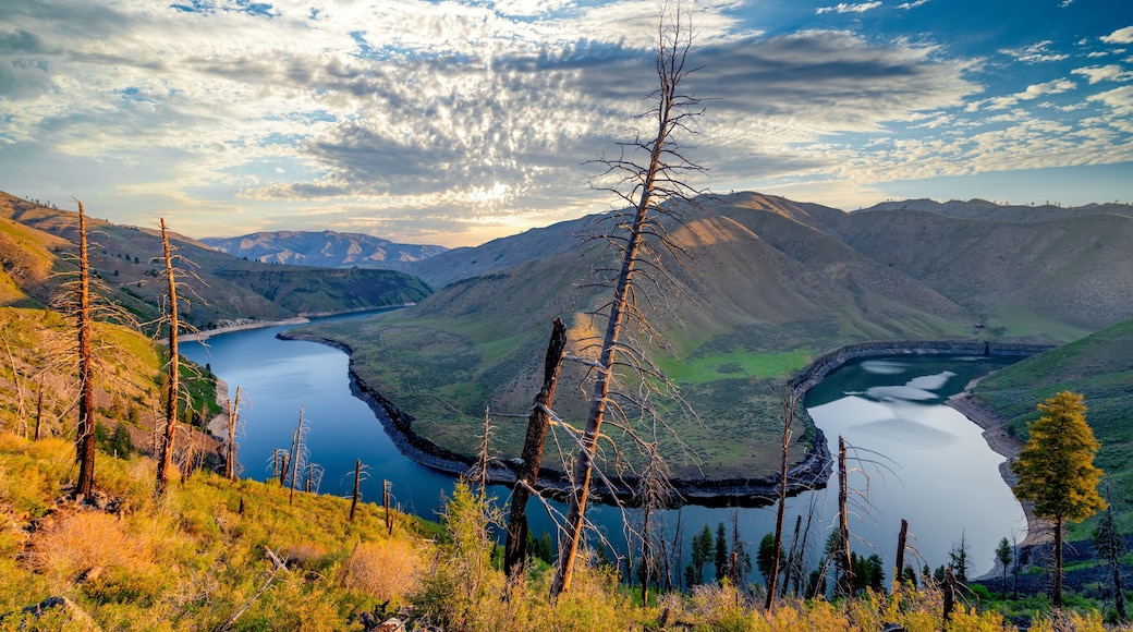 Horseshoe bend in the Boise River at sunrise with a tree