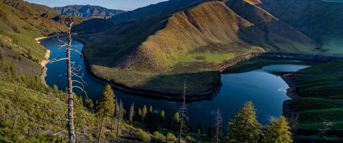 A mountainous landscape with a lake and a tree in the foreground.
