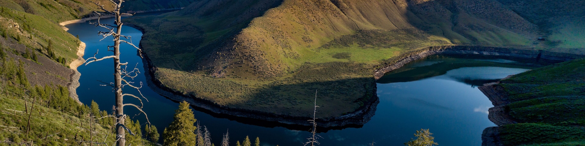 A mountainous landscape with a lake and a tree in the foreground.