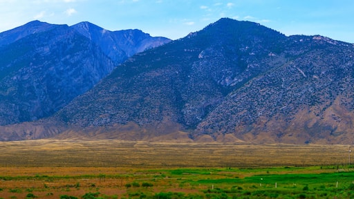 ماكاي، أيداهو