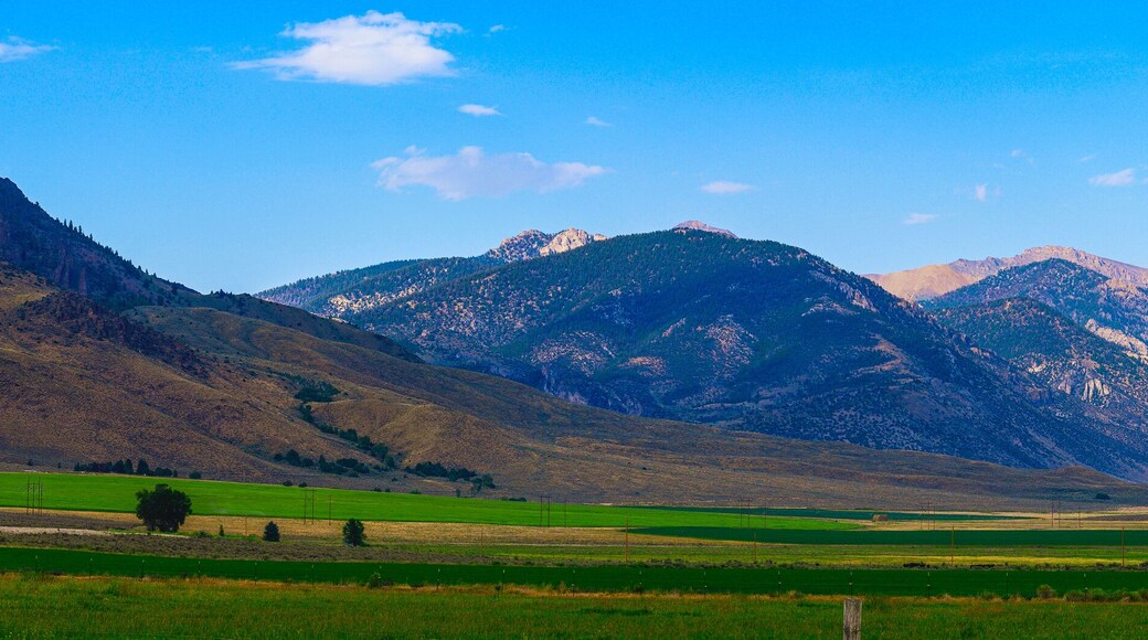 ماكاي، أيداهو