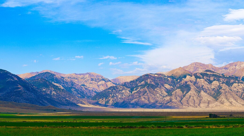 ماكاي، أيداهو