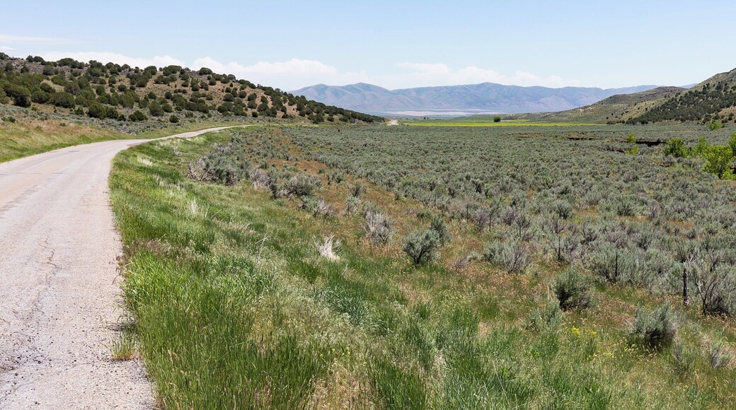 We hadn't planned on visiting Curlew, but cut through here after getting lost. It was amazingly quiet and empty. We ate lunch at a campground that looked like it hadn't been used in months.
#lifeatexpedia