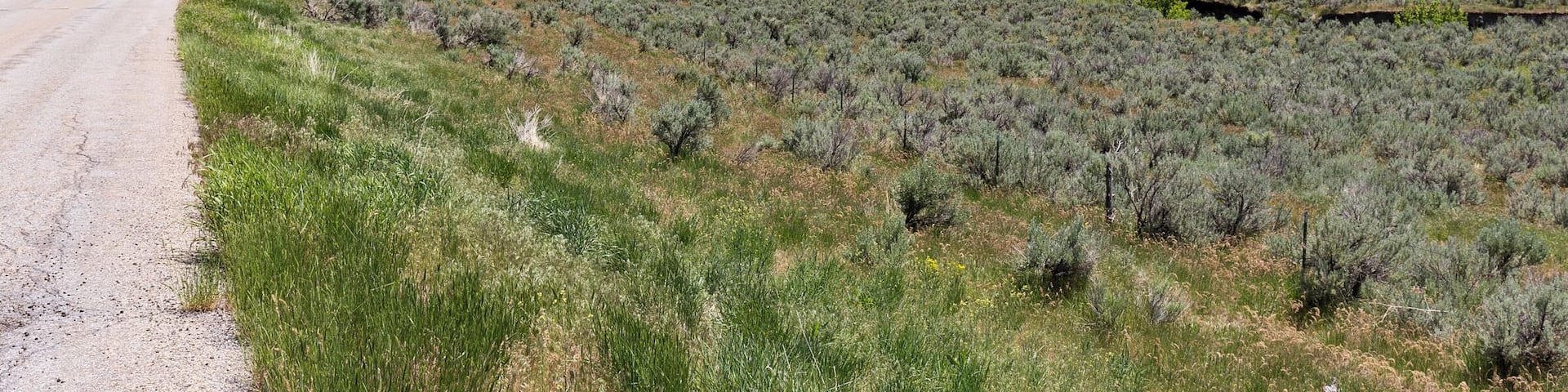 We hadn't planned on visiting Curlew, but cut through here after getting lost. It was amazingly quiet and empty. We ate lunch at a campground that looked like it hadn't been used in months.
#lifeatexpedia