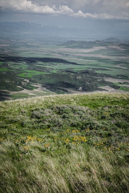 valley of tall grass and rolling grren mountain sides with view of Malad City Idaho in summer