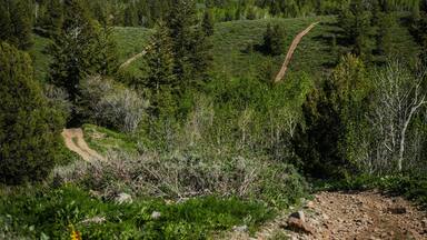 Dirt trails meandering through rolling green hillsides in Malad City mountain range with snow-capped peaks in backgorund