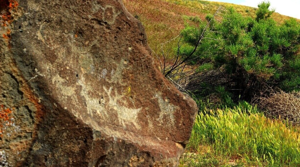 Petroglyphs on Map Rock, an ancient map from the indians who lived here 12,000 years ago. The rock shows mountains, rivers, hunting grounds and location of other tribes among other symbols.
#localgem