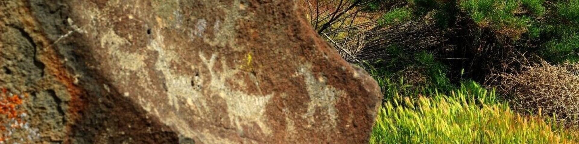 Petroglyphs on Map Rock, an ancient map from the indians who lived here 12,000 years ago. The rock shows mountains, rivers, hunting grounds and location of other tribes among other symbols.
#localgem