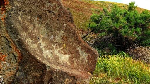 Petroglyphs on Map Rock, an ancient map from the indians who lived here 12,000 years ago. The rock shows mountains, rivers, hunting grounds and location of other tribes among other symbols.
#localgem