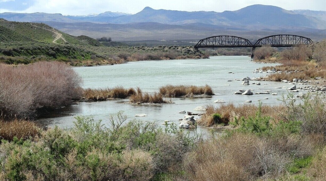 Celebration Park along the Snake River over 5000 Petroglyphs that are around 12,000 yrs old are found here