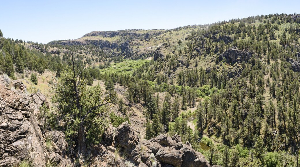North Fork of the Owyhee River, Owyhee County, Idaho