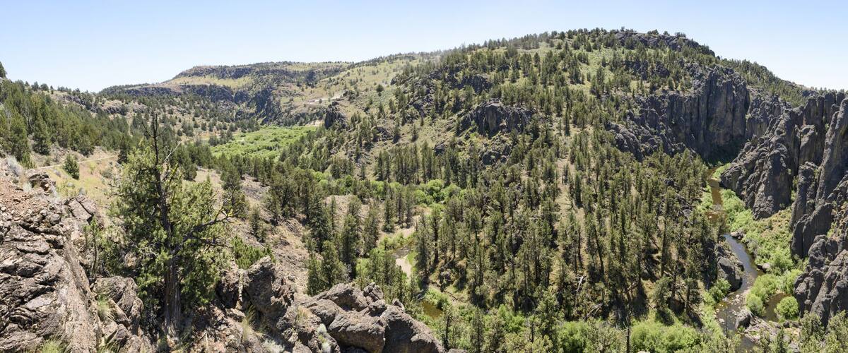 A mountainous landscape with dense forests and rocky cliffs.