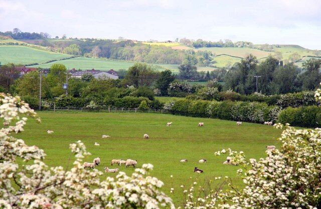 Looking across a field to Fenny Compton