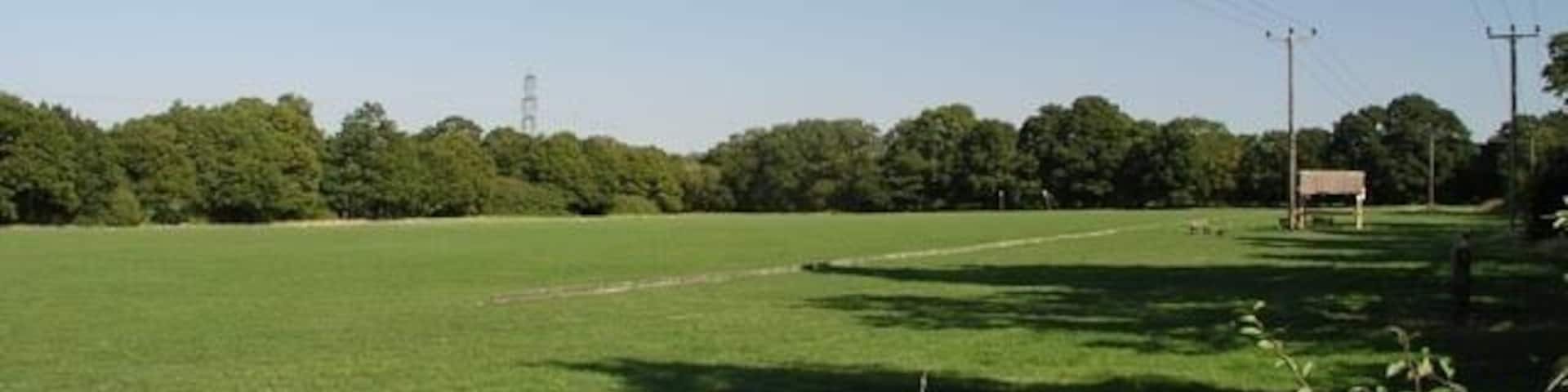 Polo field off Moatfield Lane