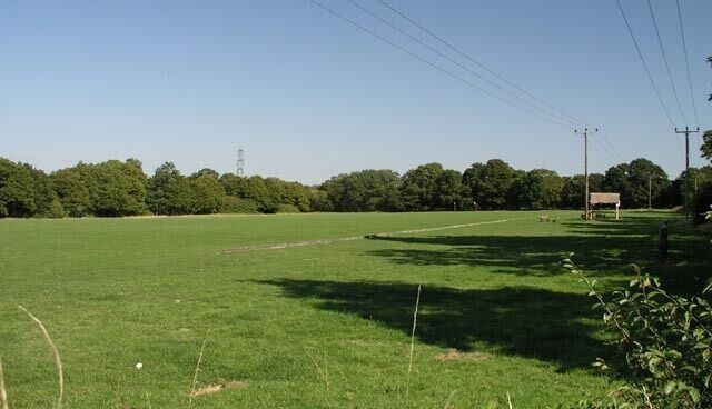A grassy field with a dirt path, power lines, and a distant tower.