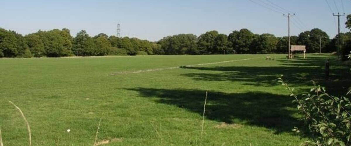 A grassy field with a dirt path, power lines, and a distant tower.