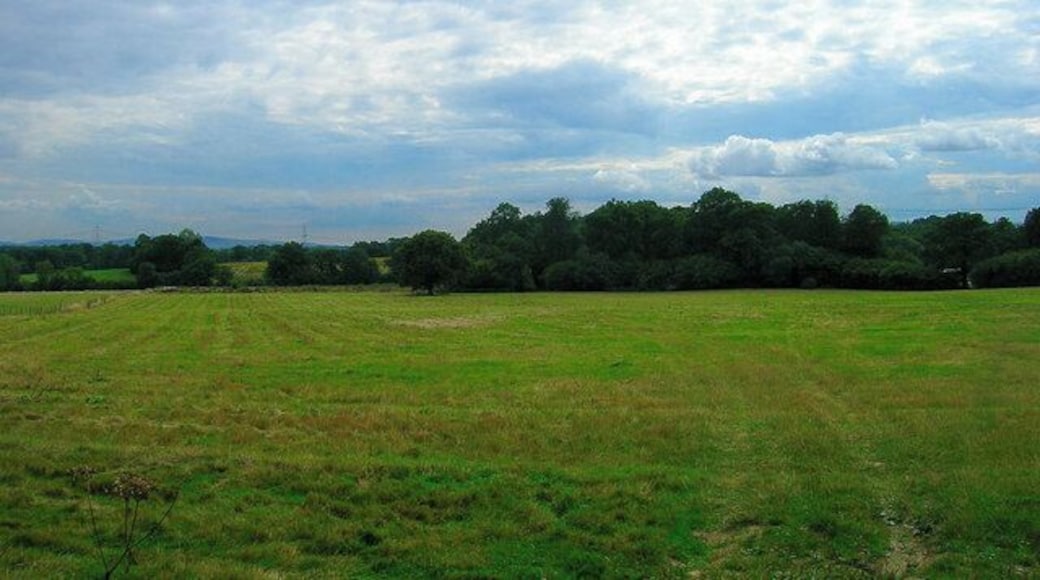 The Rookery. Small copse near Wallhurst Manor. Taken from Picts Lane.