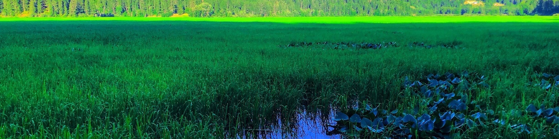 Amazing lake. In northern Idaho