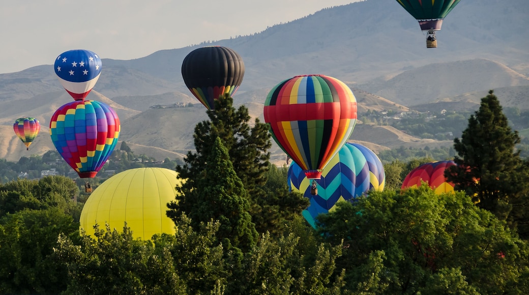 Early Morning Launch of Hot Air Balloons