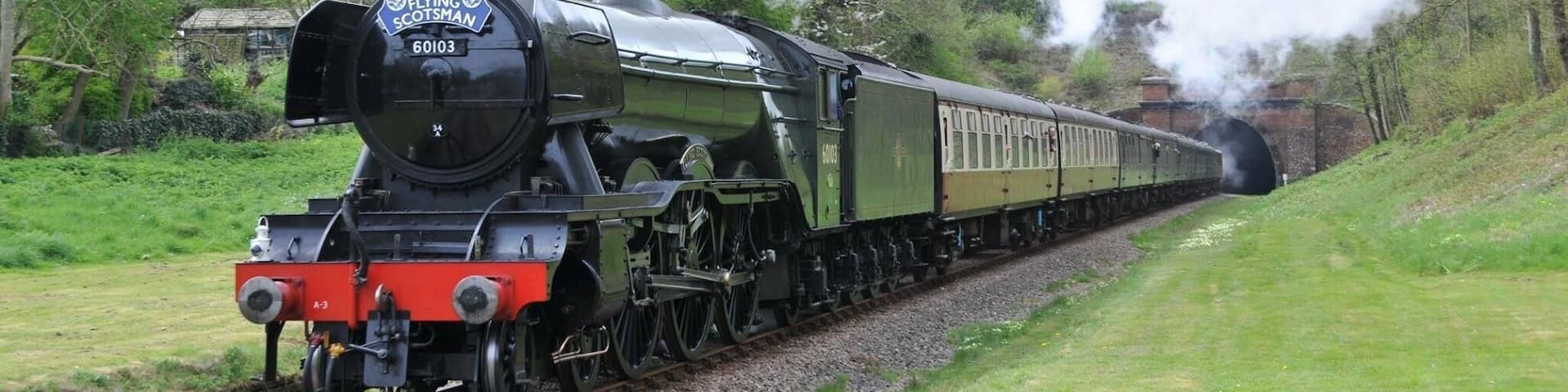 Flying Scotsman on the Bluebell Line