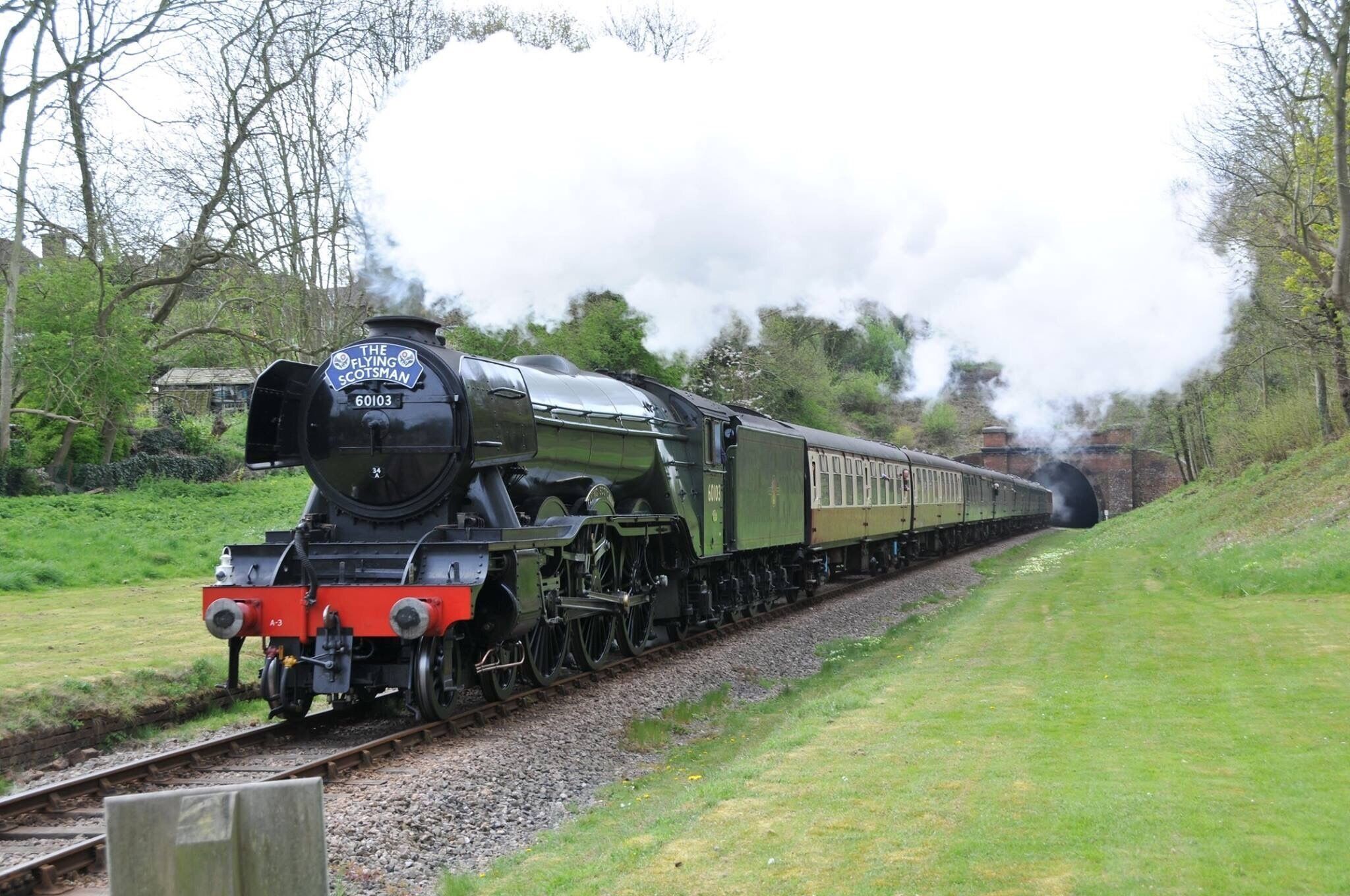 A steam locomotive pulling passenger cars on a rural railway track surrounded by greenery and trees.