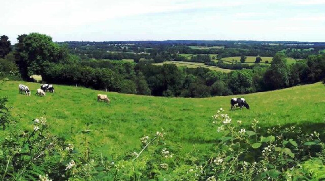 Hammingden Lane. The lane runs down from high ground at West Hoathly to Highbrook on a ridge. On both sides you have valleys and some distant inspriring views.