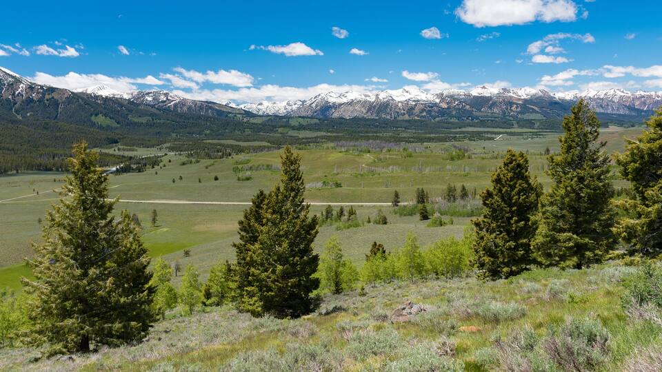 A mountainous landscape with snow-capped peaks, green fields, and coniferous trees.
