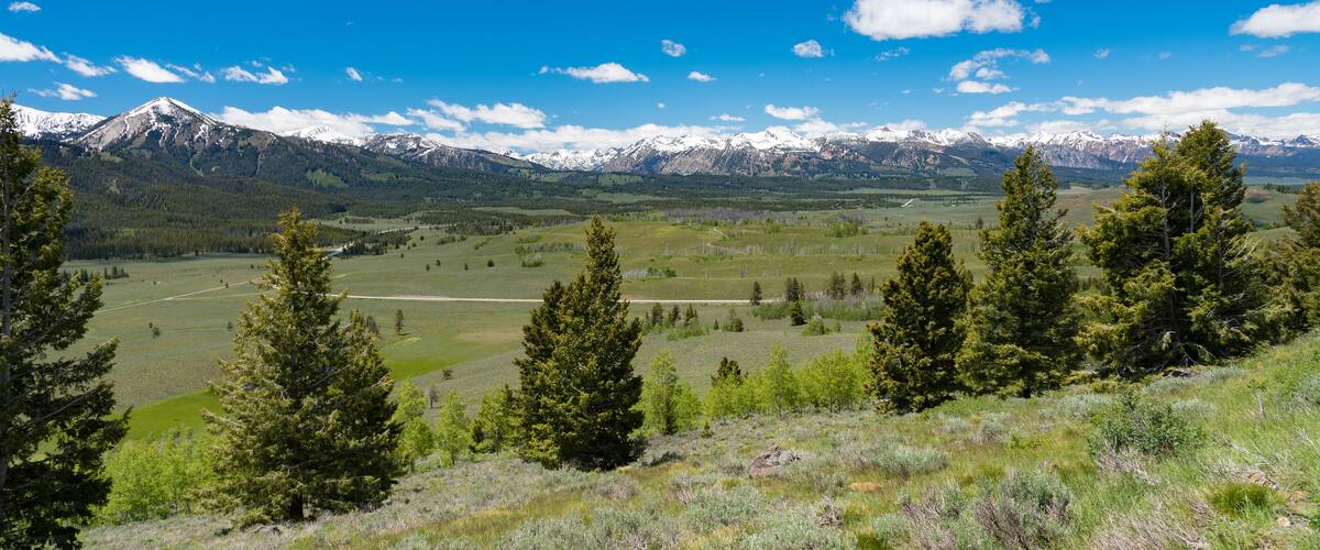 A mountainous landscape with snow-capped peaks, green fields, and coniferous trees.