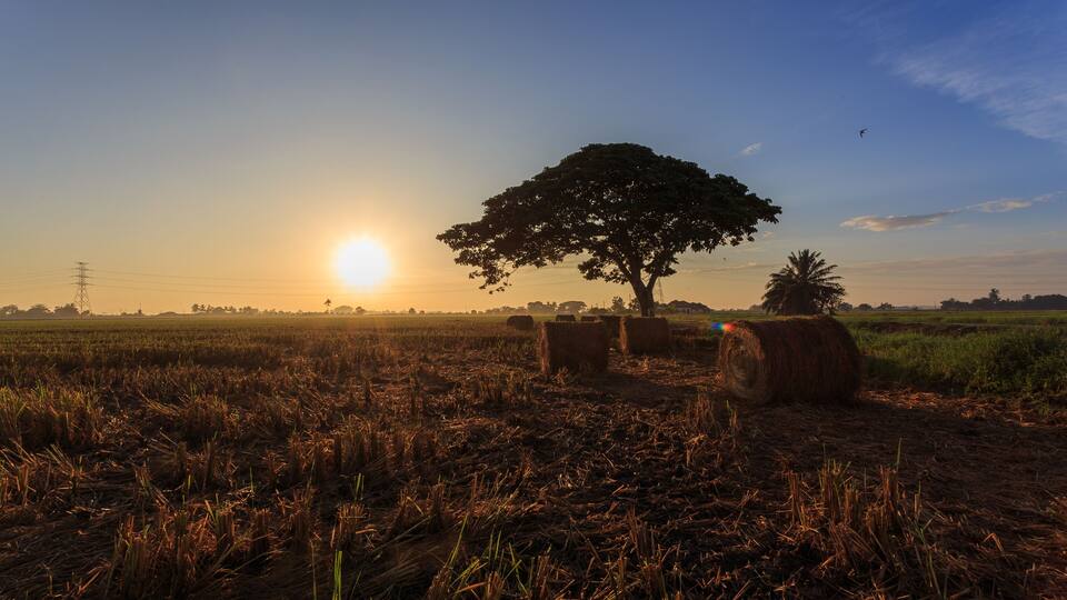A sunset over a rural landscape with hay bales, a tree, and a power line in the distance.