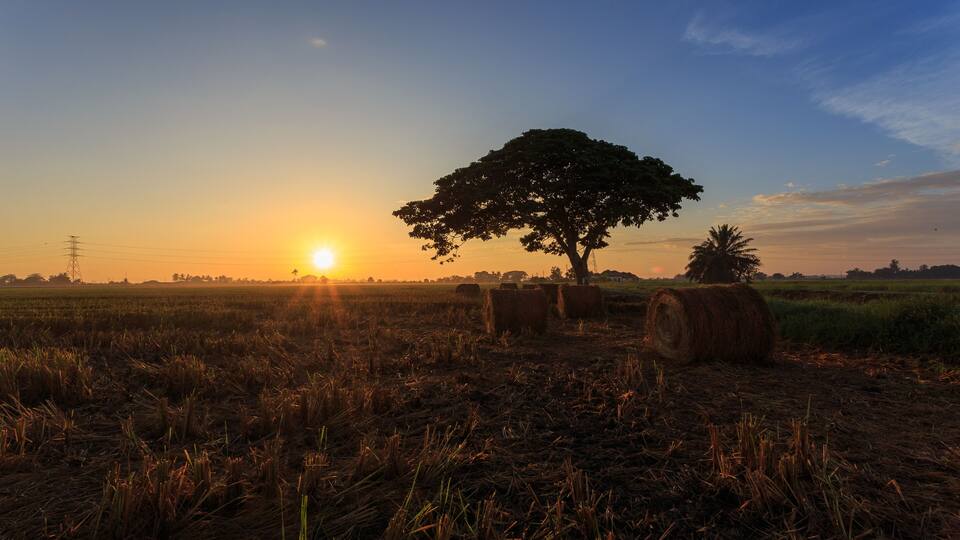 A sunset over a rural landscape with a large tree, hay bales, and a power line tower.