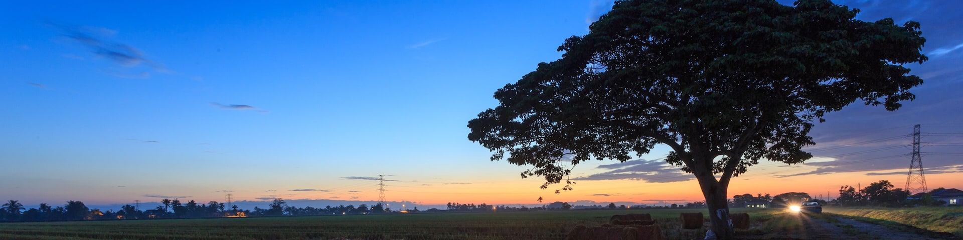 Rolls of paddy straw with golden sunset background at Sungai Besar, Selangor, Malaysia. The paddy straws are made into rolls and recycled for various usage as side product of paddy field.