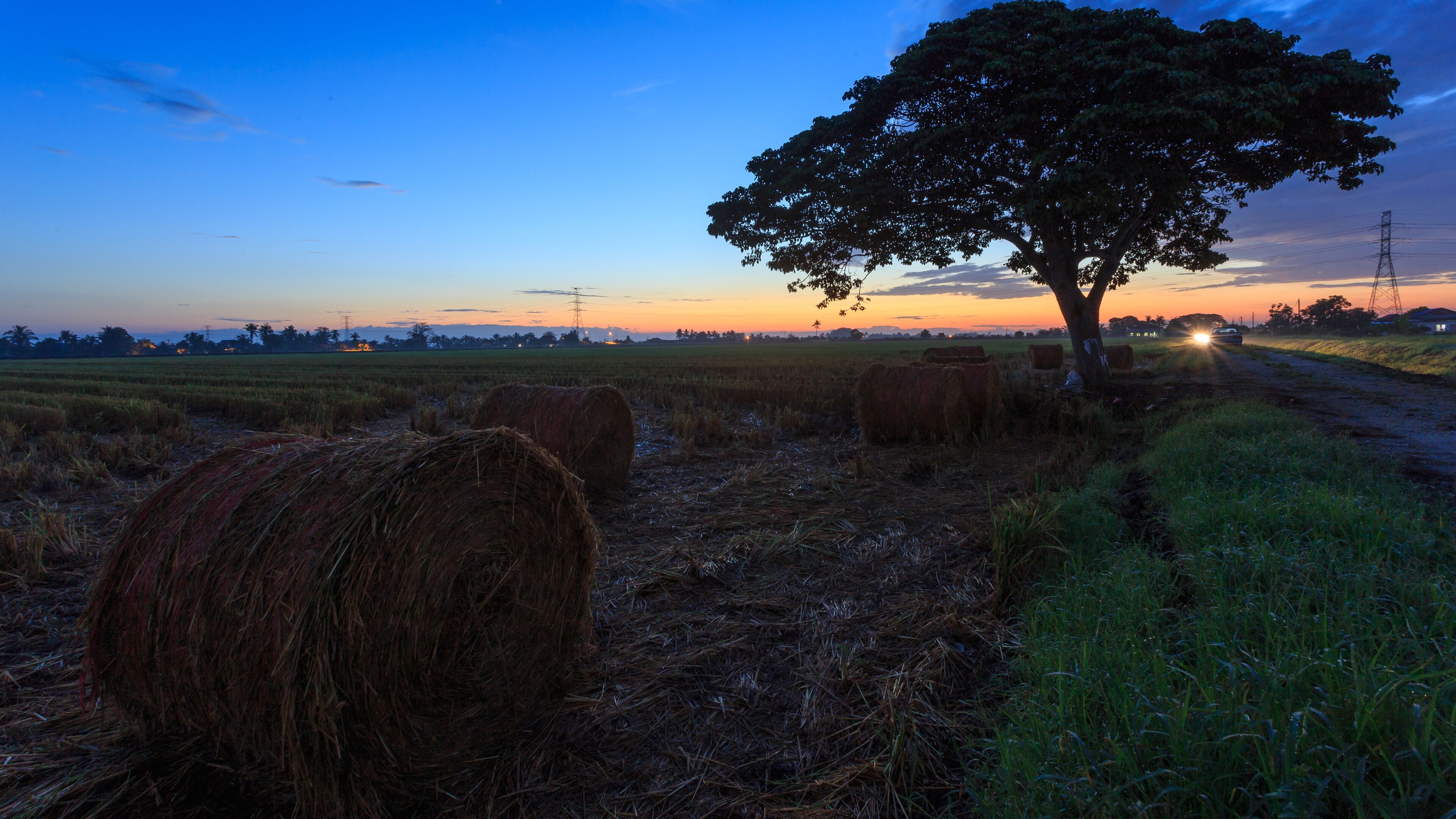 A rural landscape at dusk with hay bales, a tree, and a distant road.
