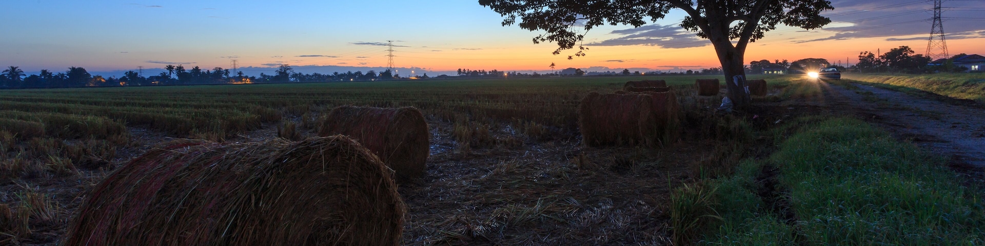A rural landscape at dusk with hay bales, a tree, and a distant road.