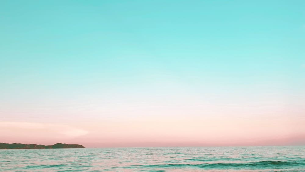 Went for satar hunting and found this jewel. It' just before sunset.
#LifeAtExpedia