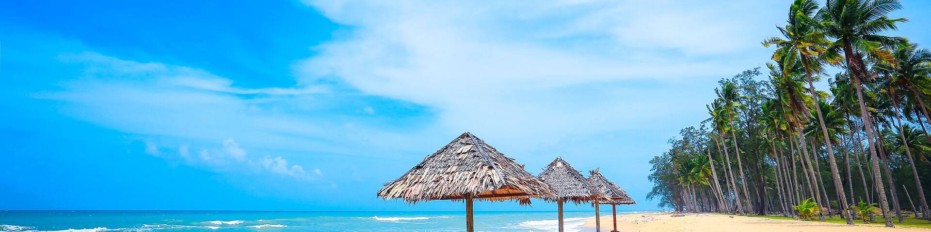 Peaceful scenery of palm tree, bamboo hut at the beach and blue sky