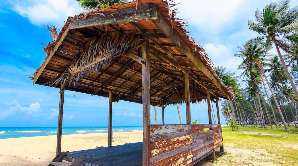 Peaceful scenery of coconut tree and bamboo hut on the ground and blue sky