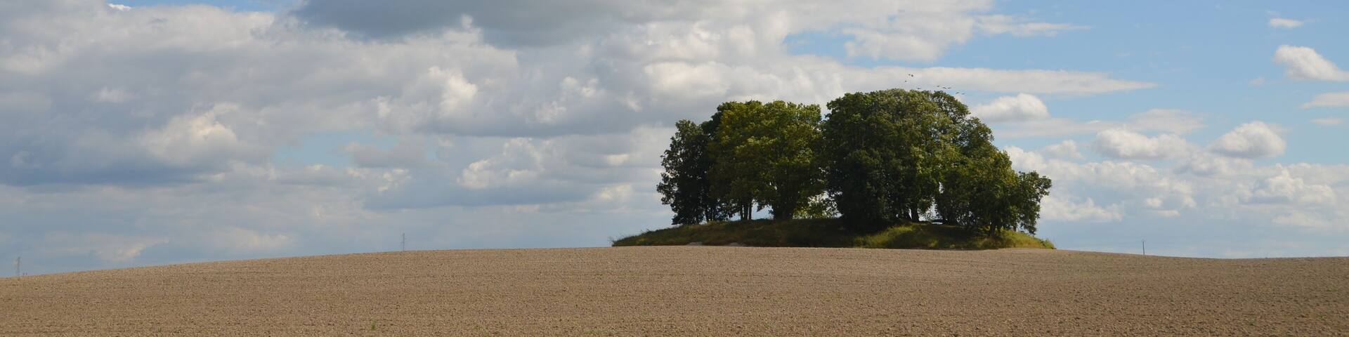 Oppidum, Vouziers, France - Isolation and Antiquity