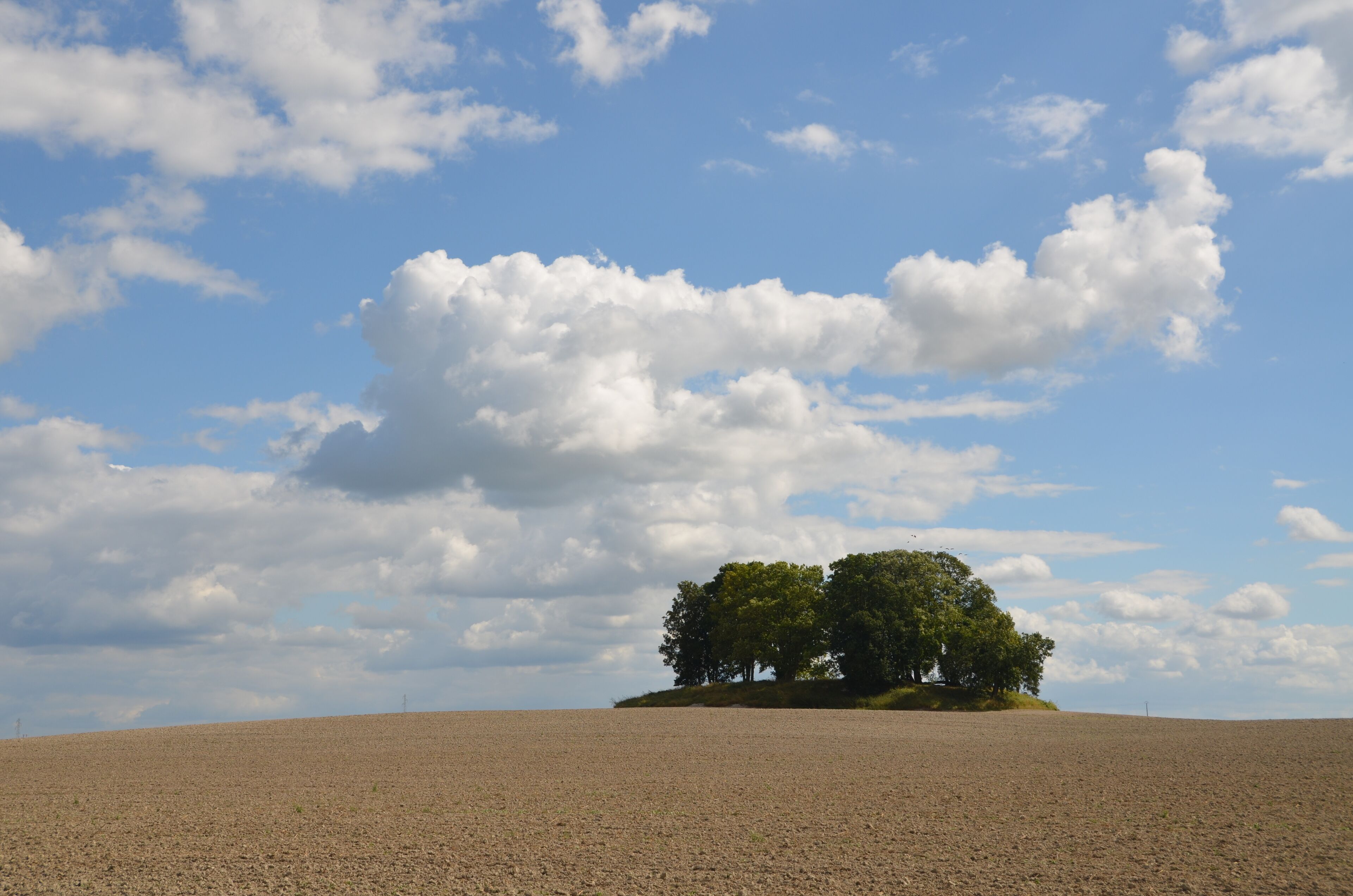 A barren landscape with a small cluster of trees on a hill under a partly cloudy sky.