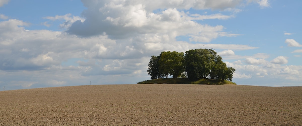 A barren landscape with a small cluster of trees on a hill under a partly cloudy sky.